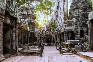 Ta Phrom Temple